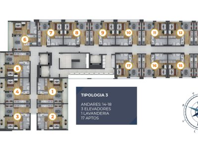 Tipo 3